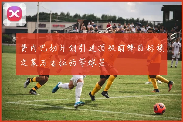费内巴切计划引进顶级前锋目标锁定莱万吉拉西等球星